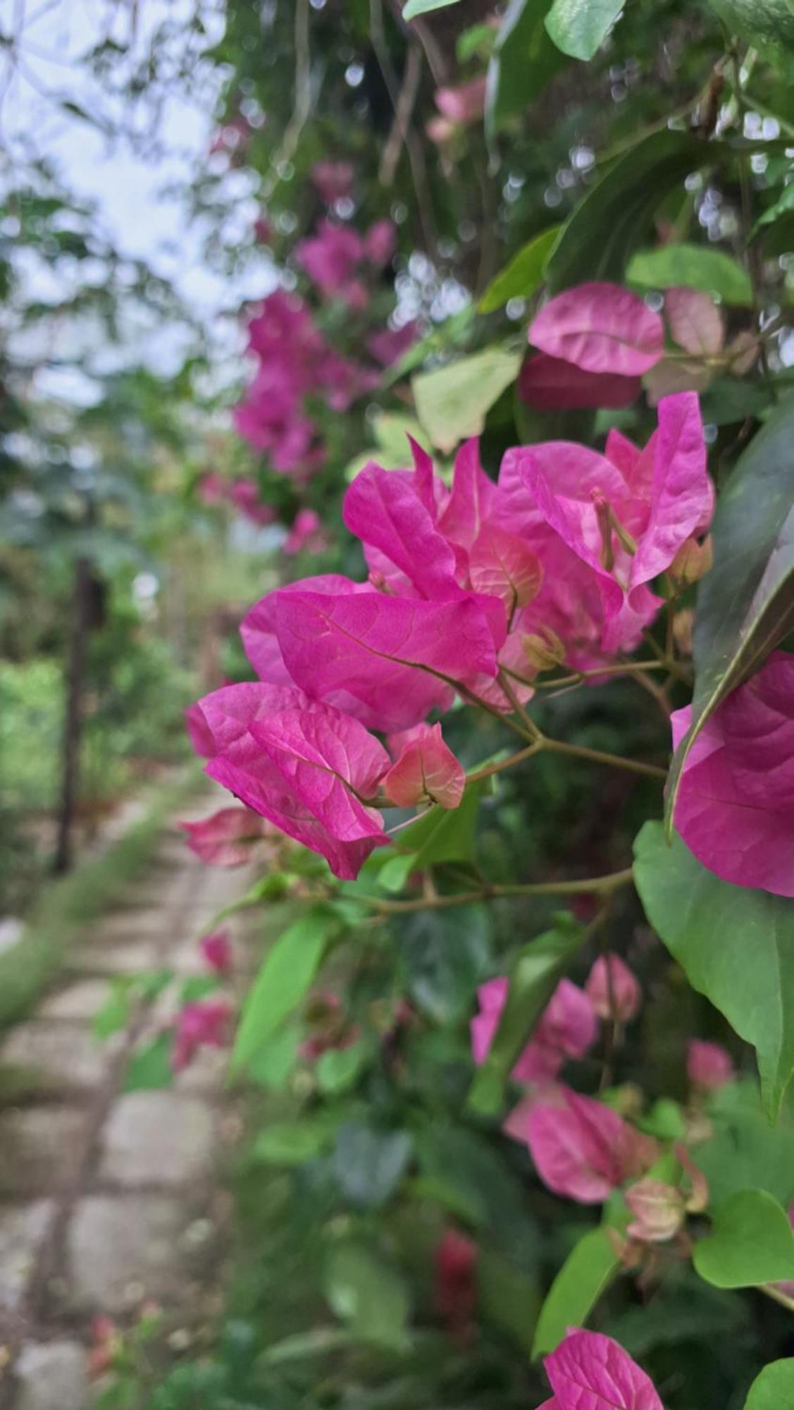 Homestay Dat Phu Tuy Hoa Bagian luar foto